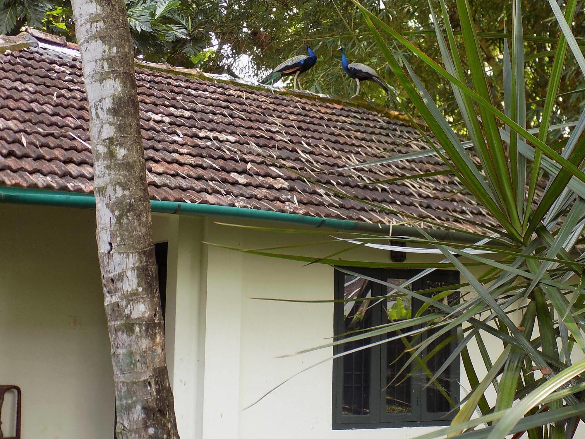 Bed and Breakfast Elphinstone Residency Коччи Экстерьер фото